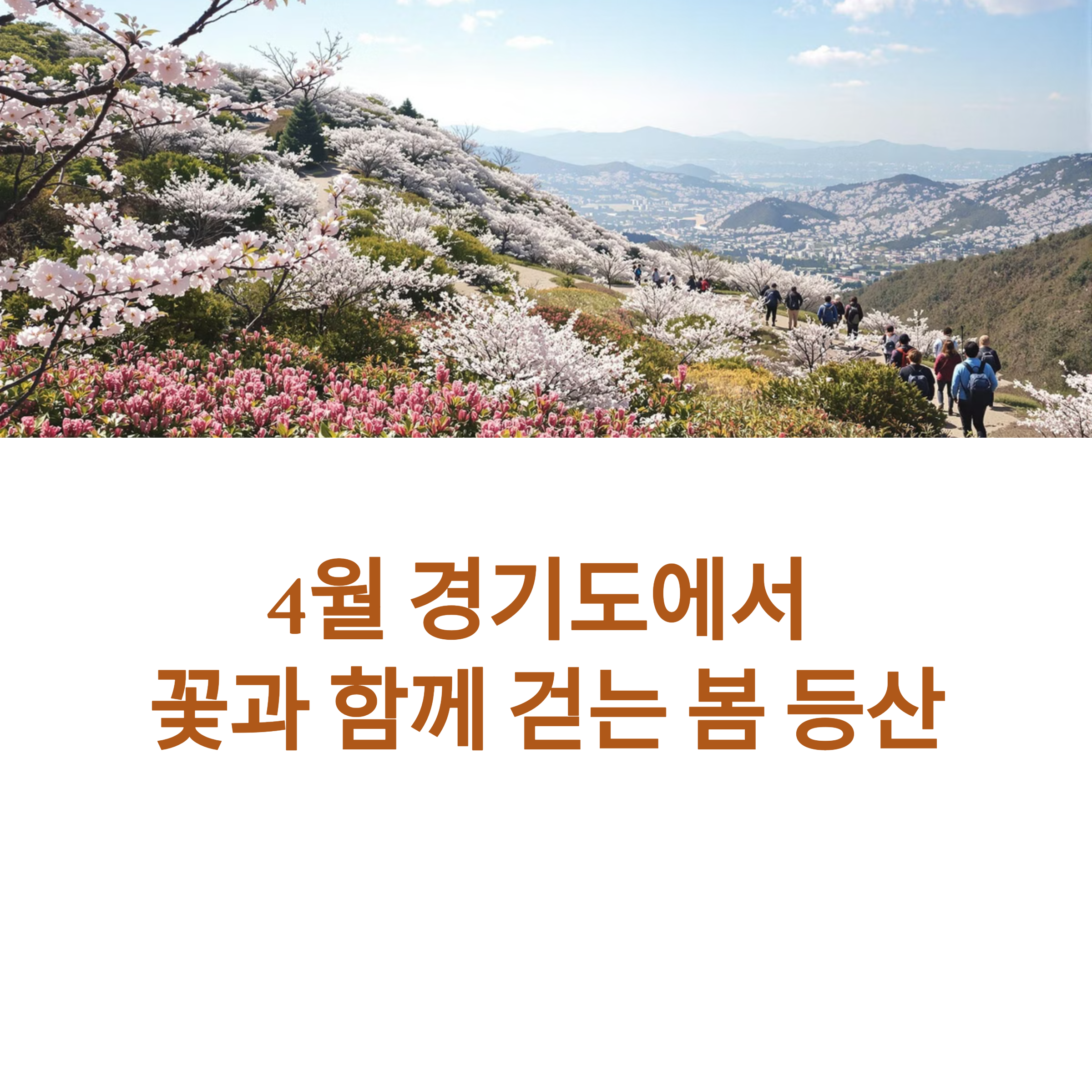 06a1e087f309abcd152d8bb73727224f.png