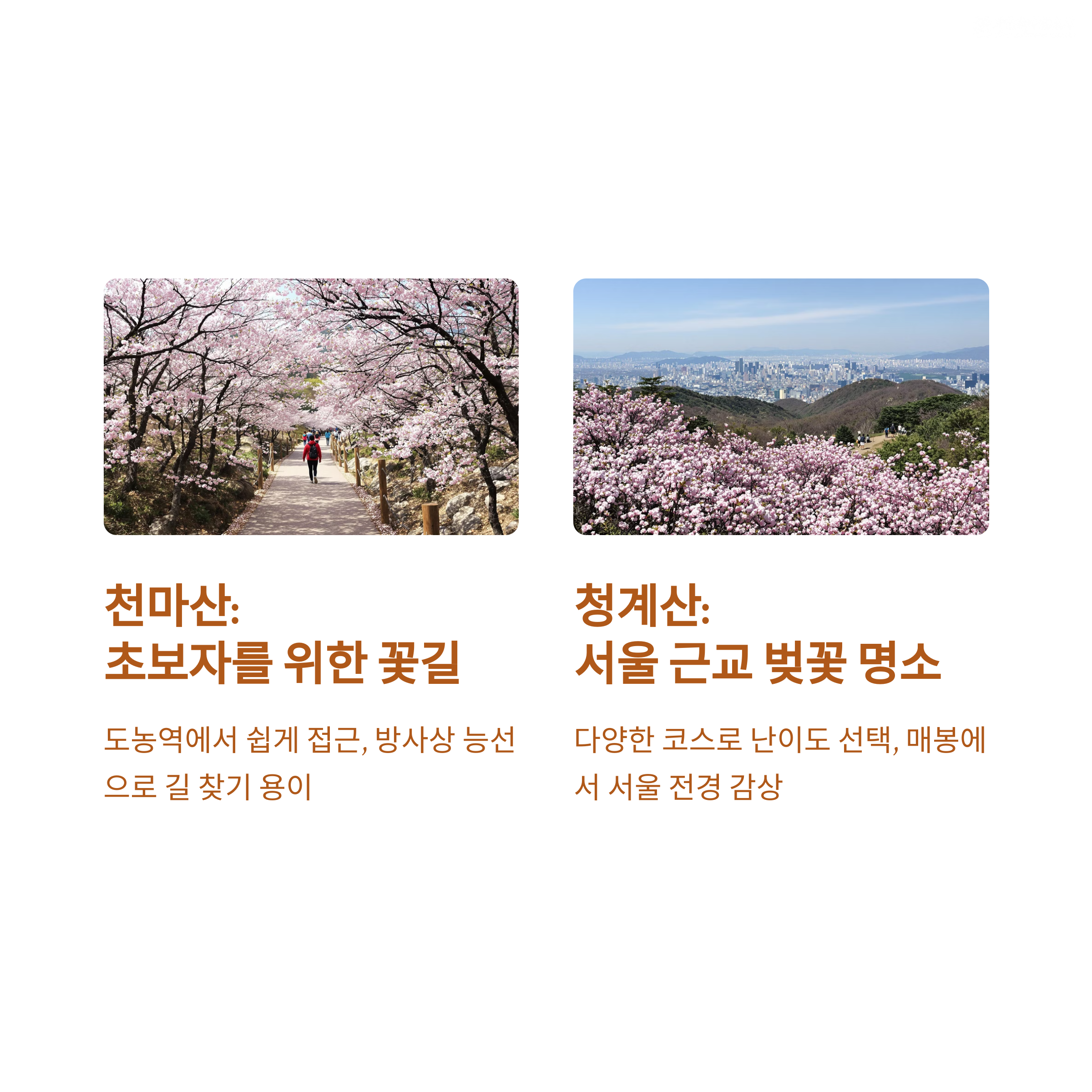 2a3a9843357fc900ccc53fcecf22956e.png