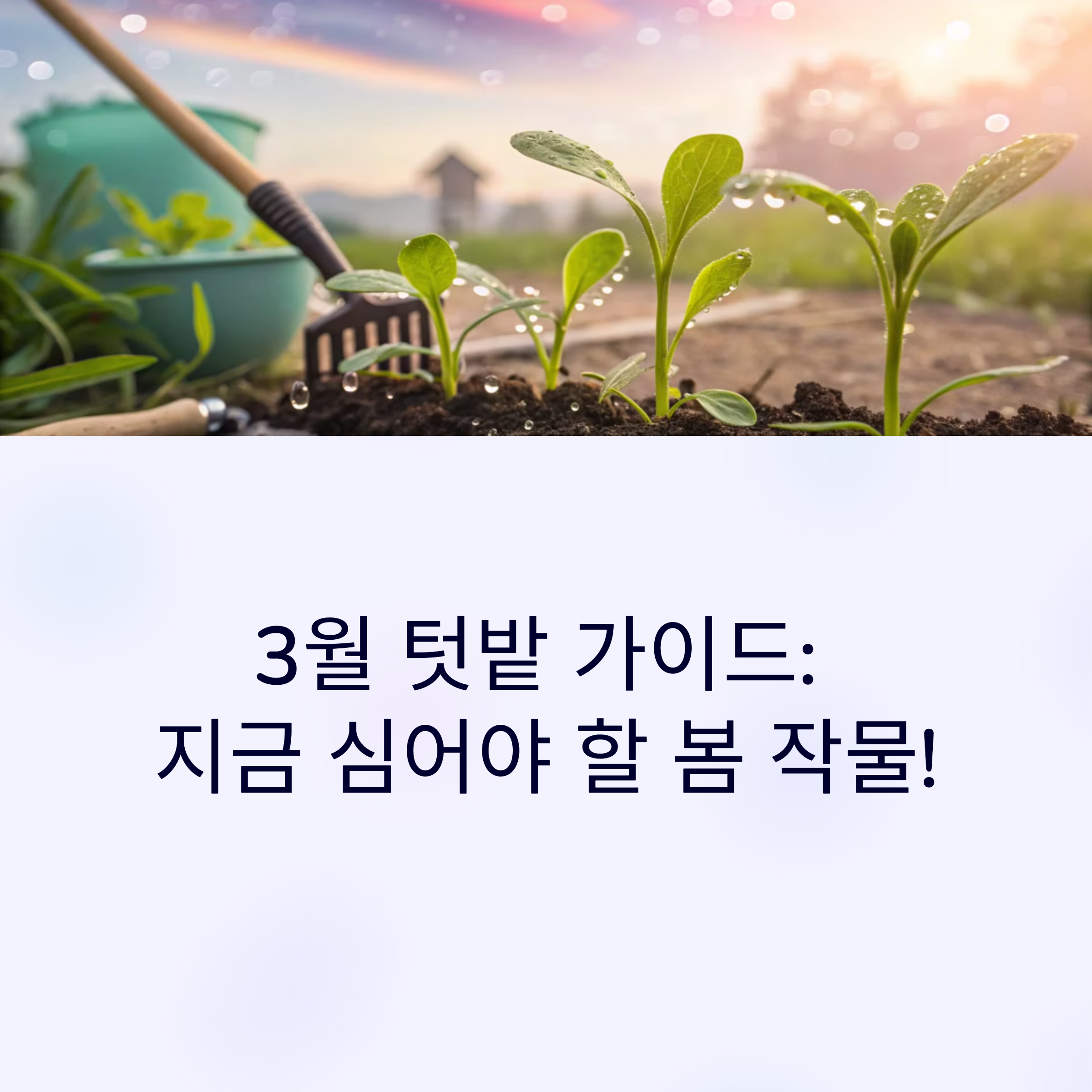 2a8703bdb3cefa4b38991281a8f2148b.png