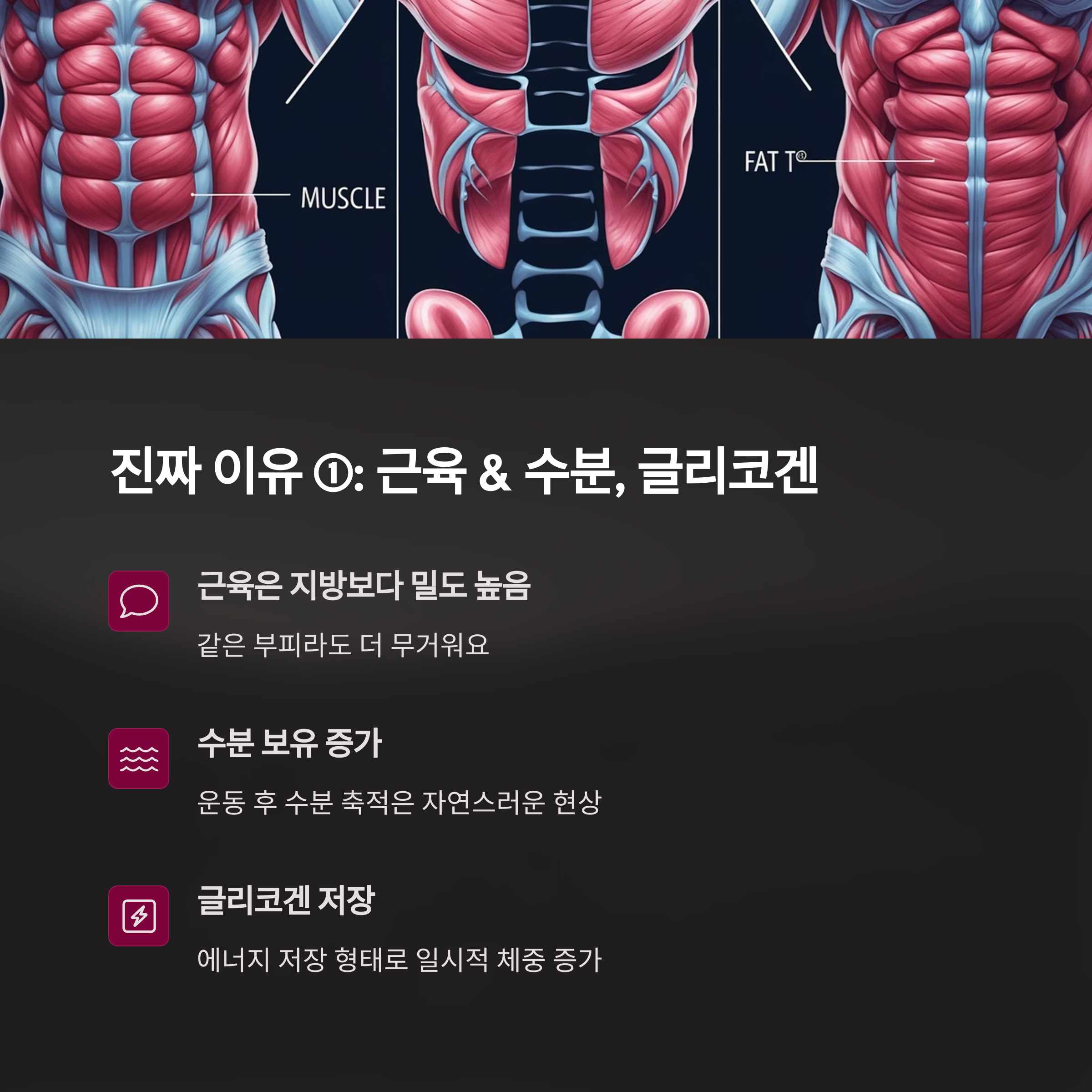 4b441b059678ef175d25d1d77d03ae29.png