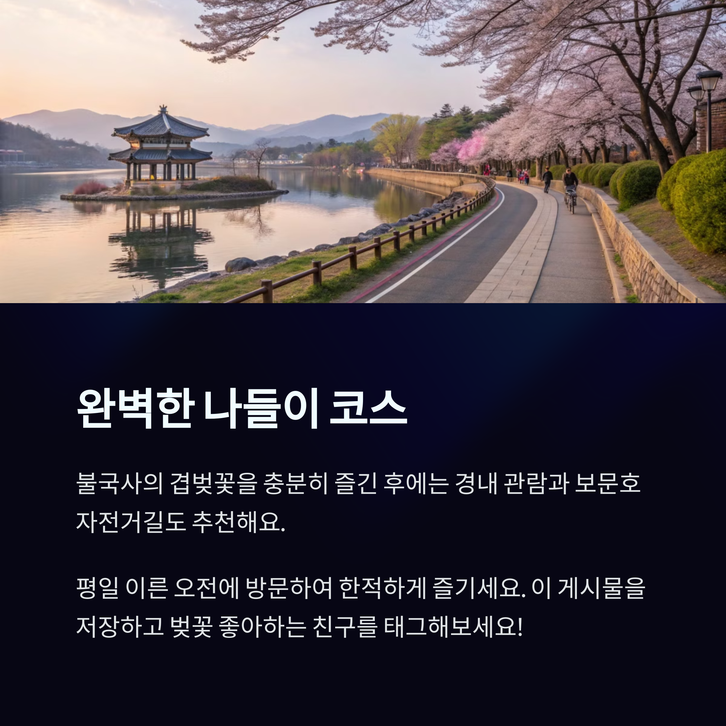 612cd585463ed22691084850121572f0.png