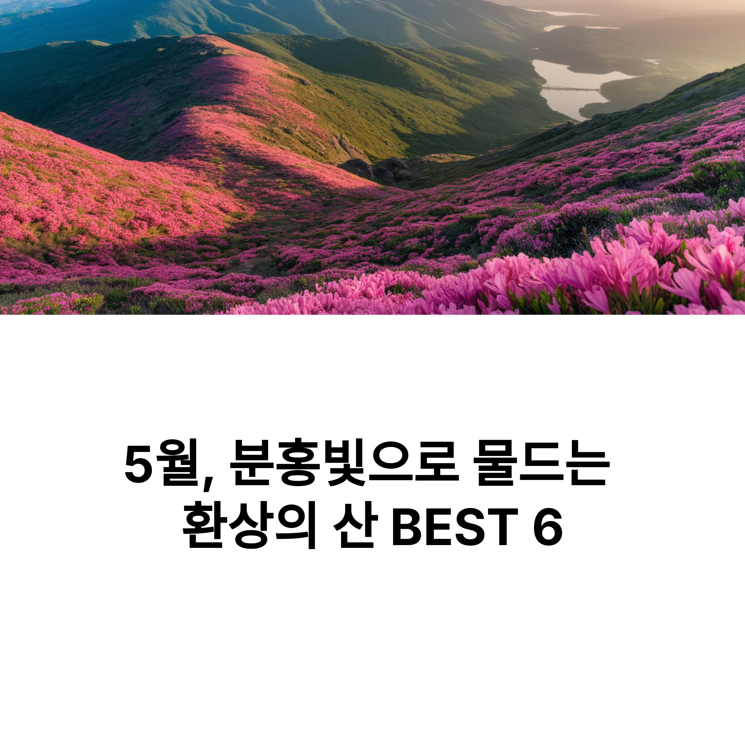 7c6717511cbabf8d68d8f661e30a88f3.png