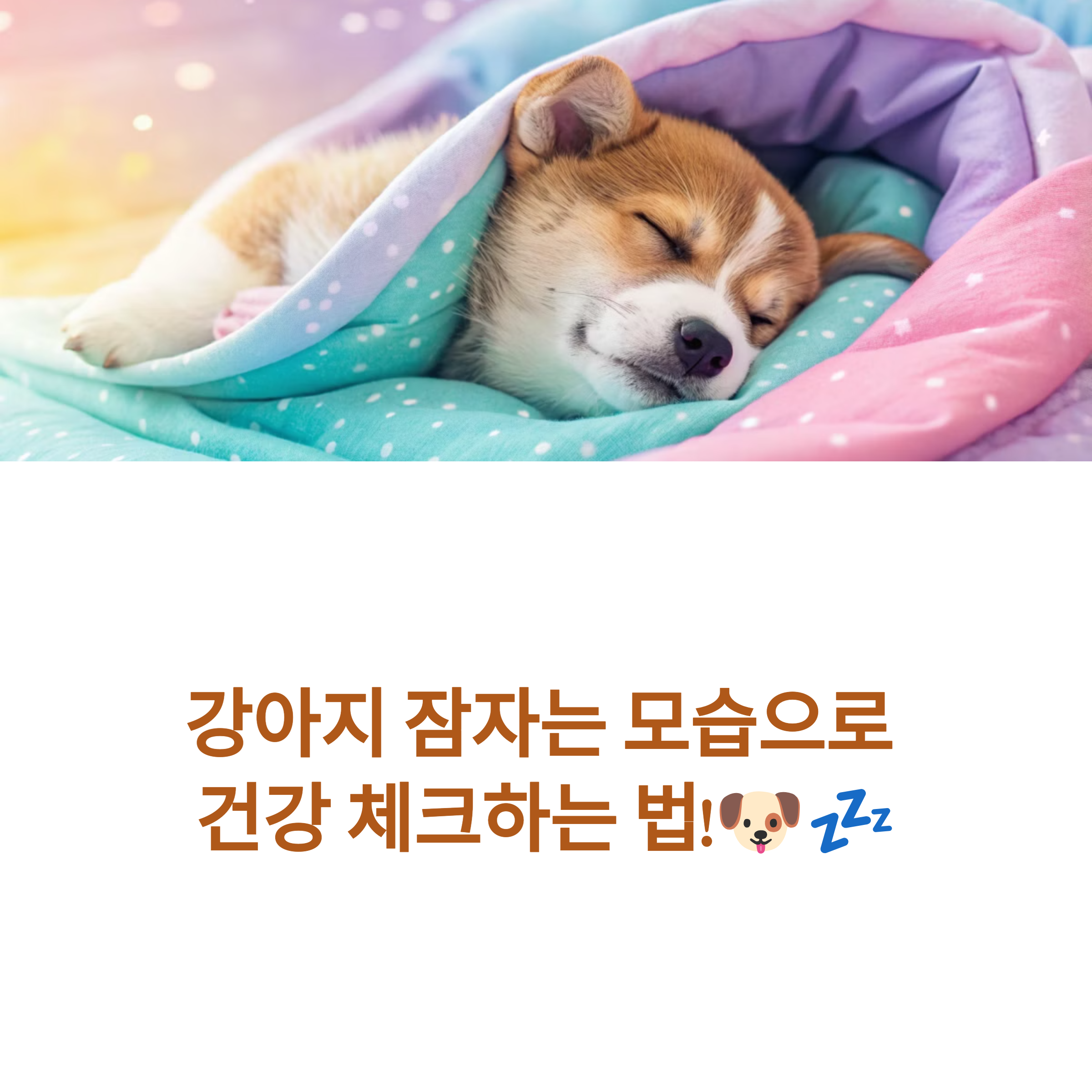 843d7145cd10fba5b2d3ae403868475a.png