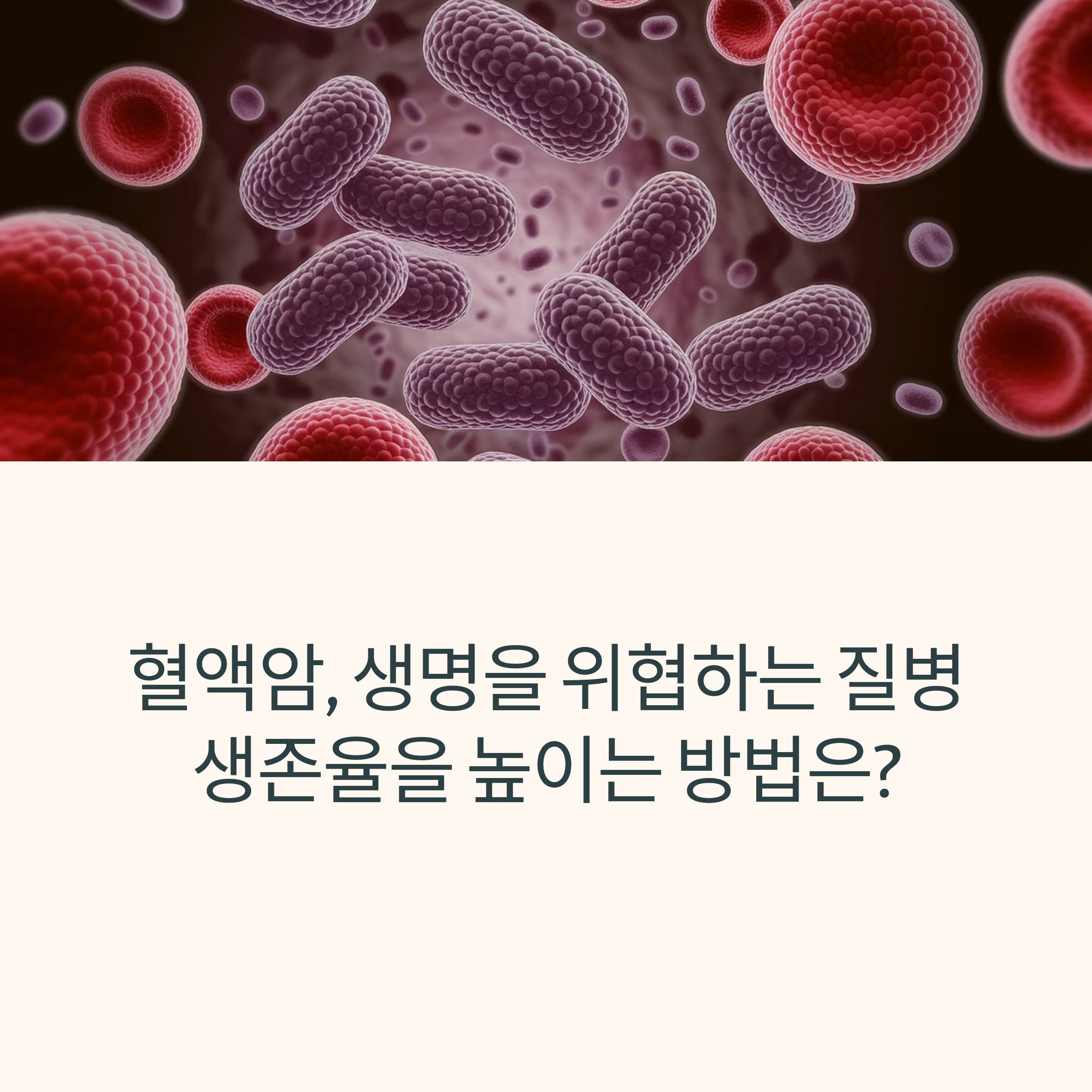 999803024fa5fc98cac2ccf7ecfcfd95.png
