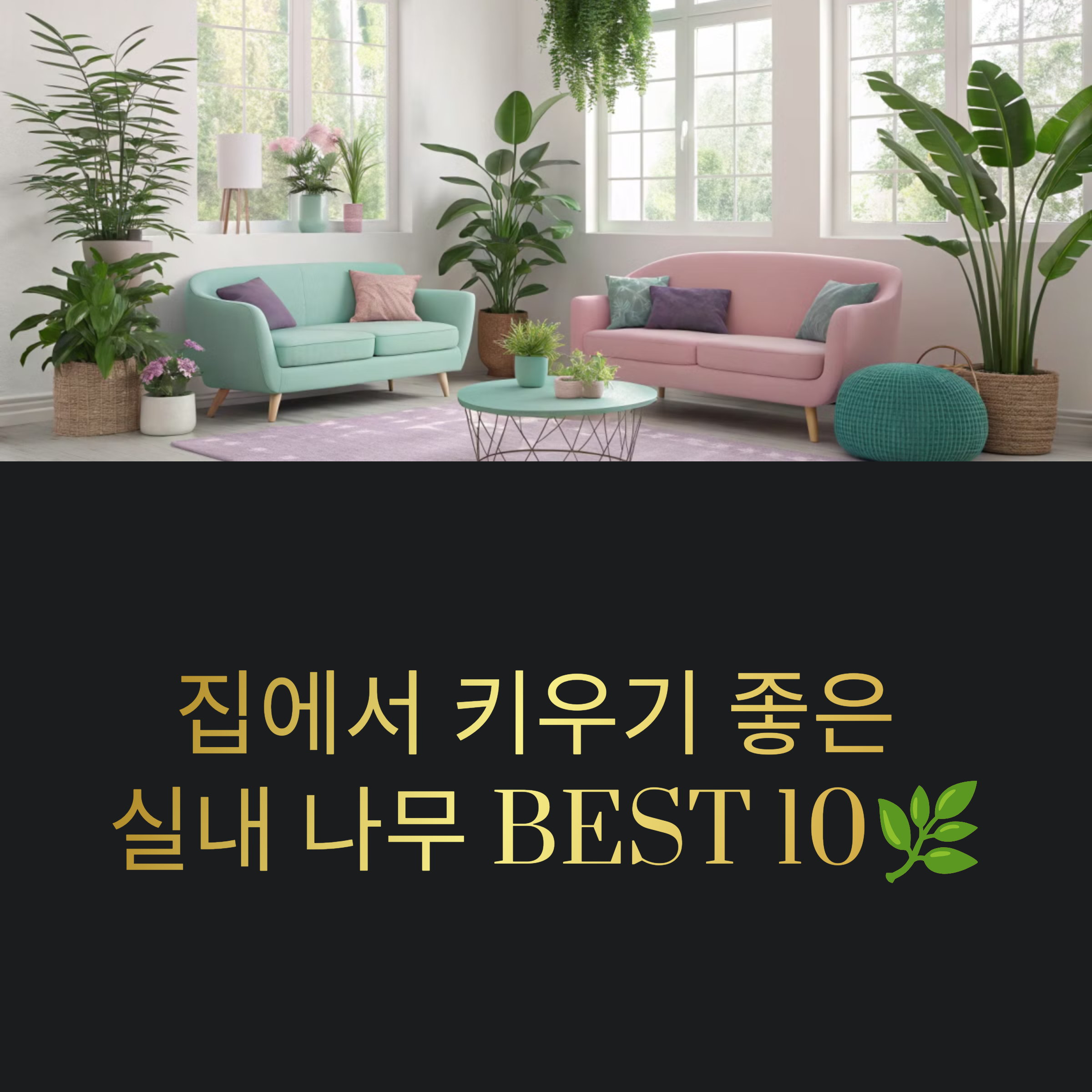 a26019904ffed89b942270029270f511.png