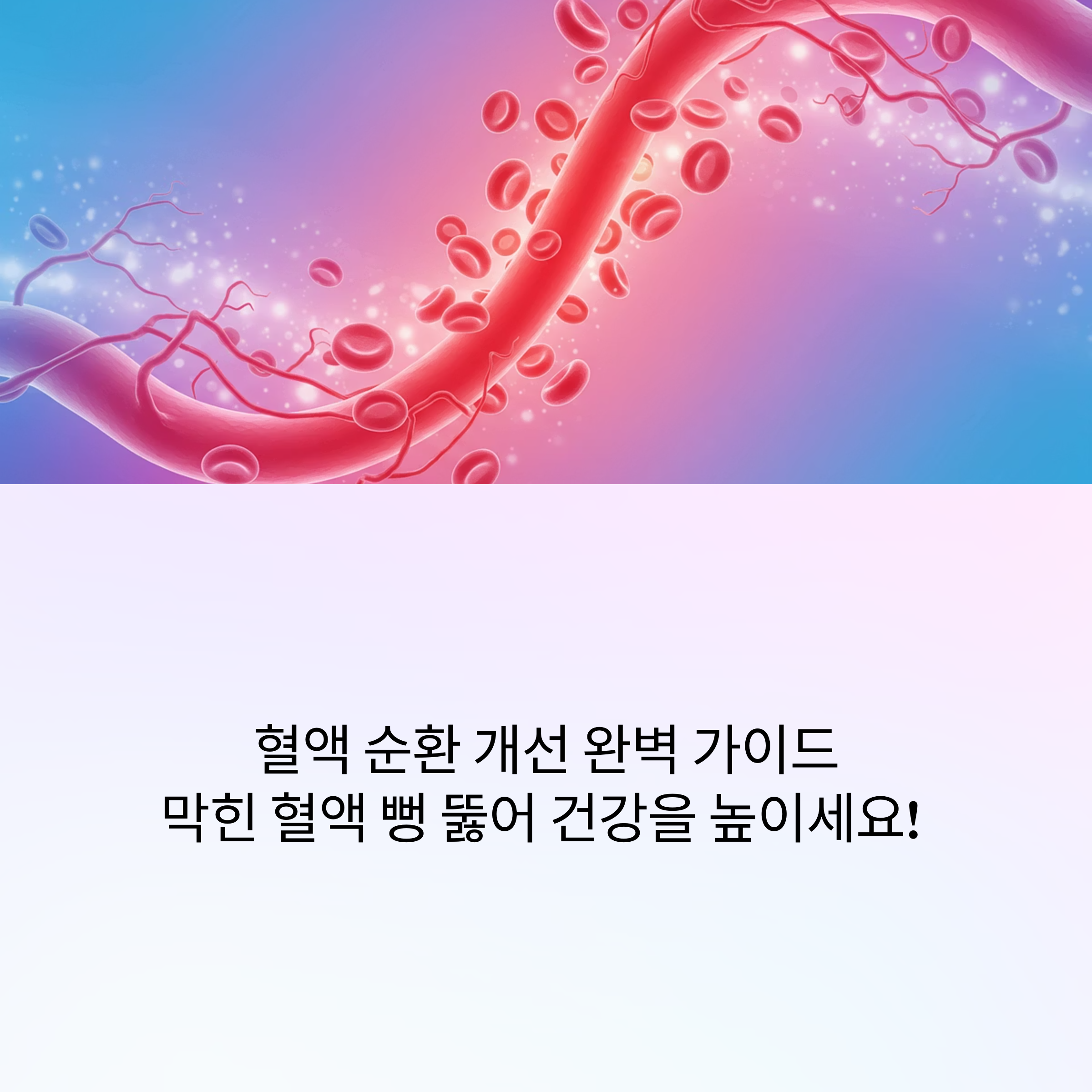 c1176161acffe1316e67a1eb4ac1dee1.png
