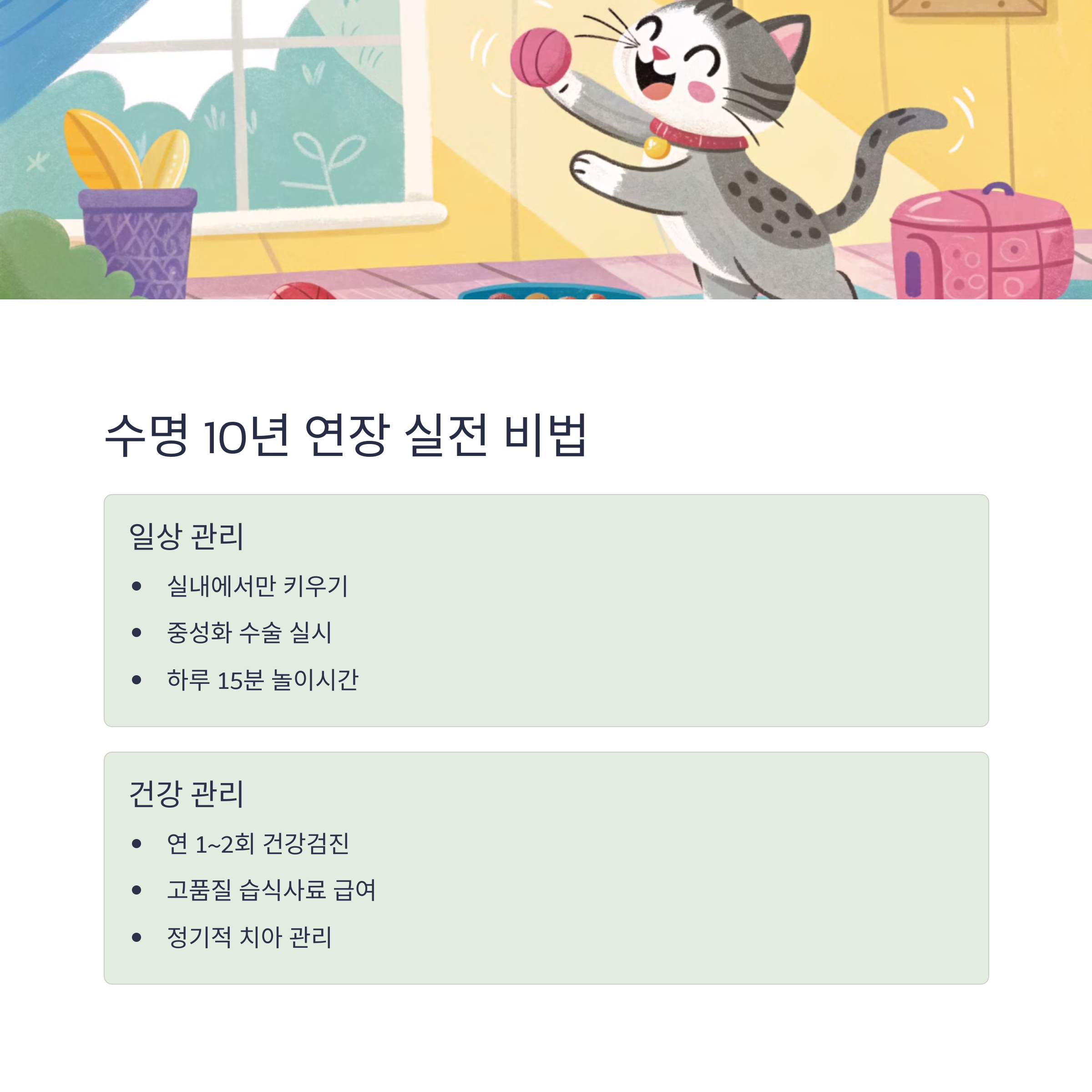 c268547aa06fa6cb4592f7741e8366f7.png