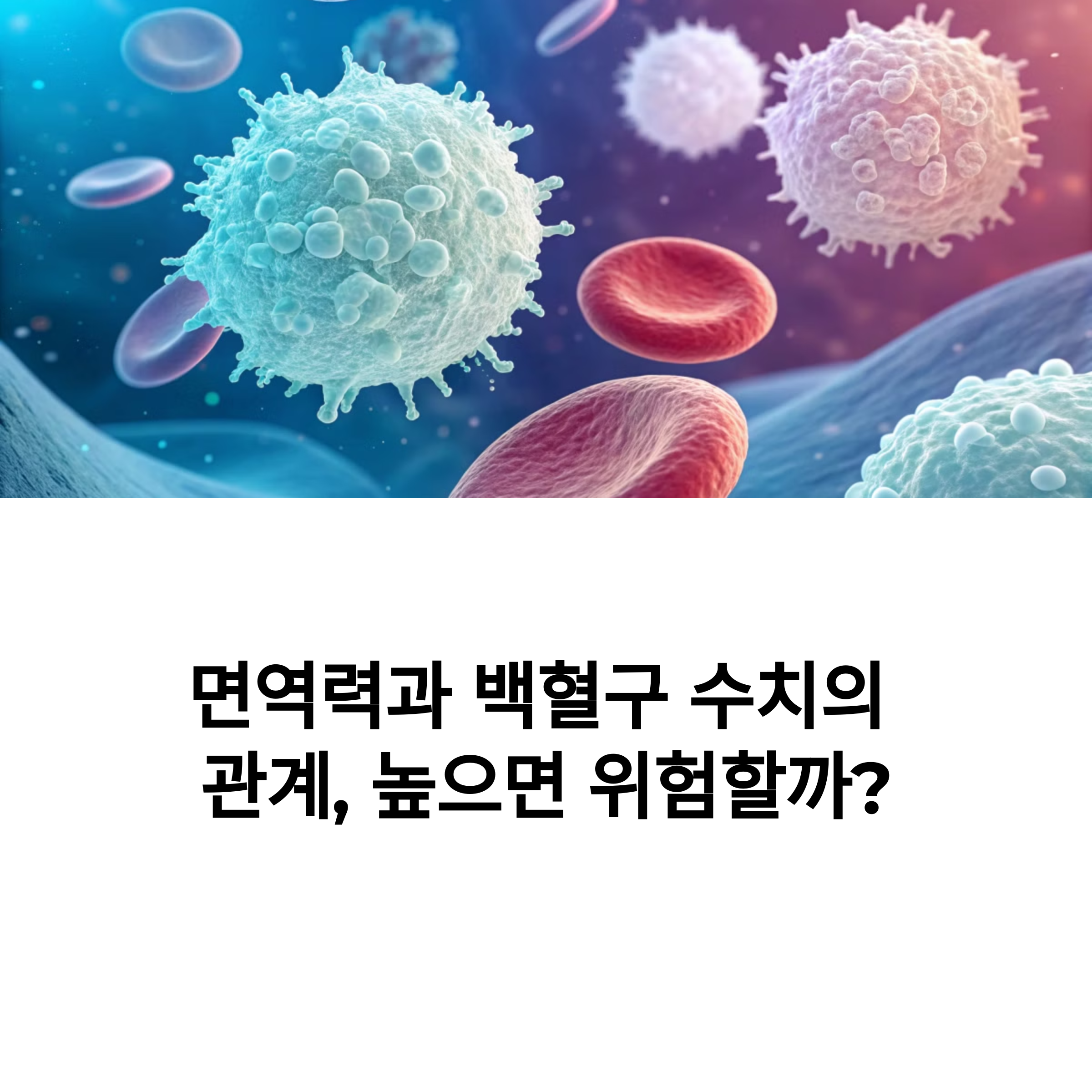 fd939469055dcd3847ee0c070686851e.png