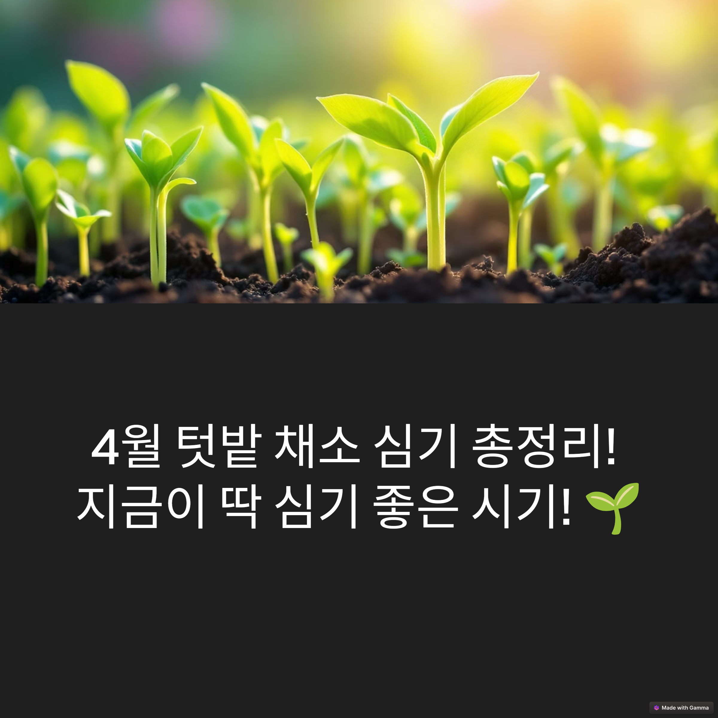 08e49245209afceddb9d3fd96ef19a8d.png