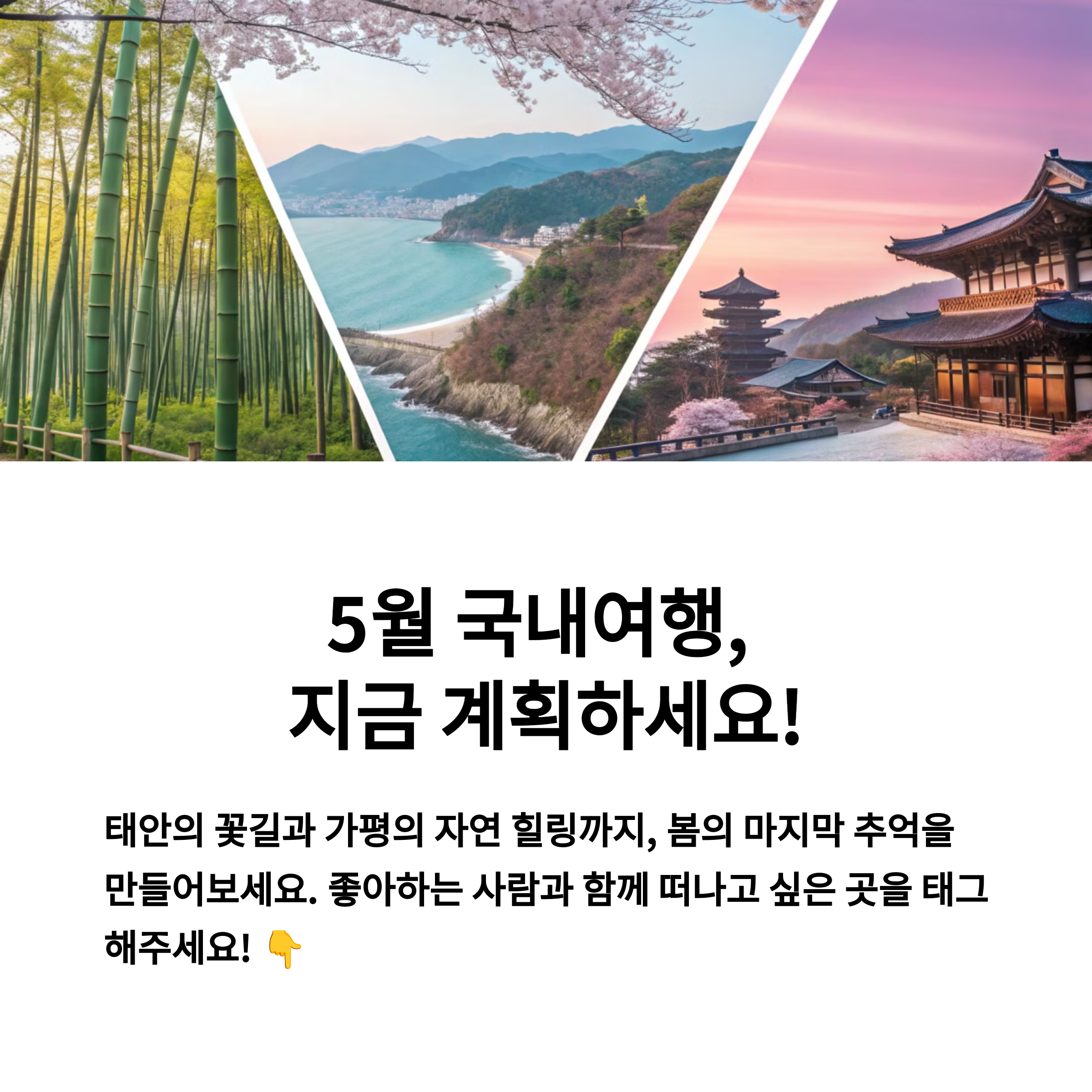 2195d069e4d8b8ff494feff9198403f8.png
