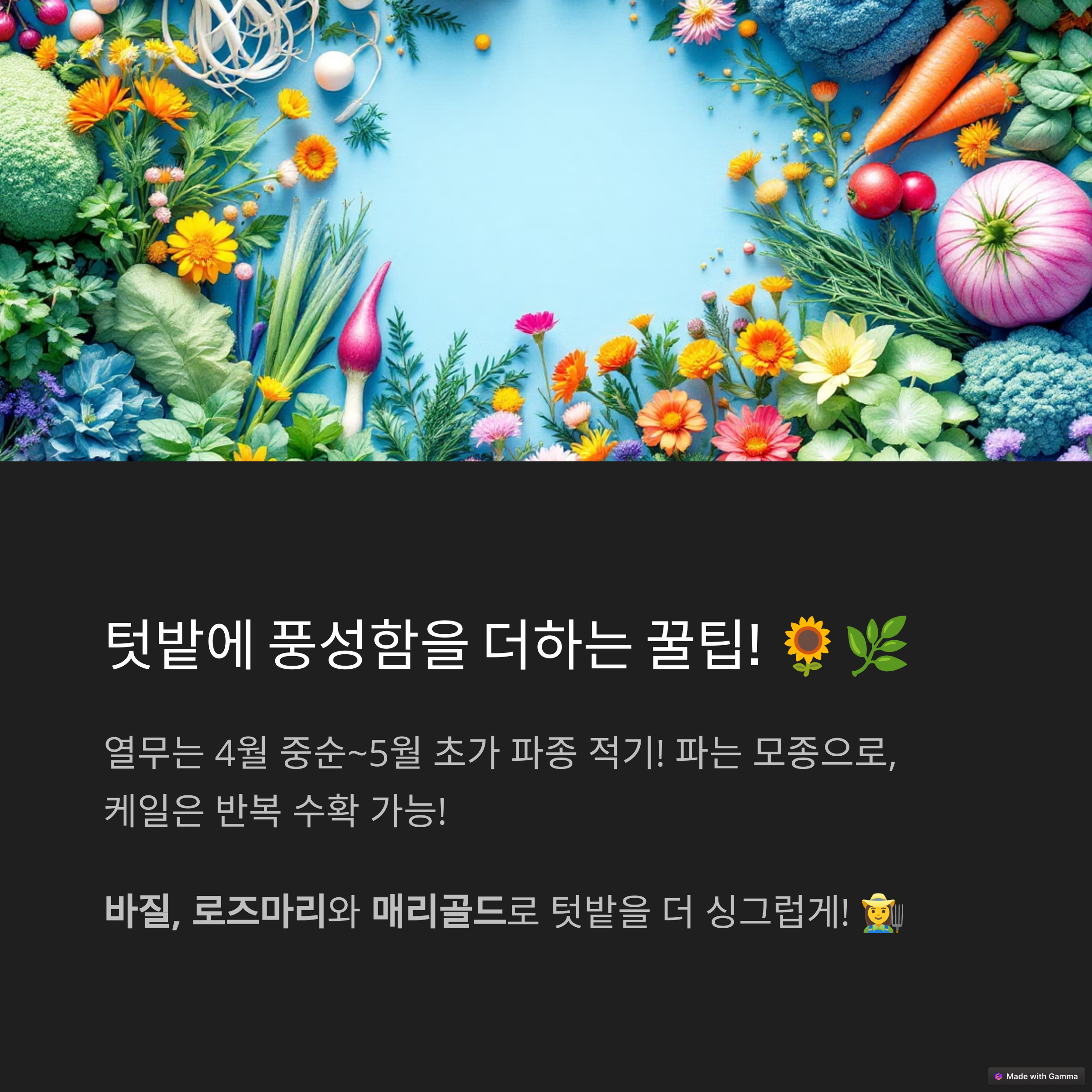 3f00fa514a931325c18bd6b3e9472162.png