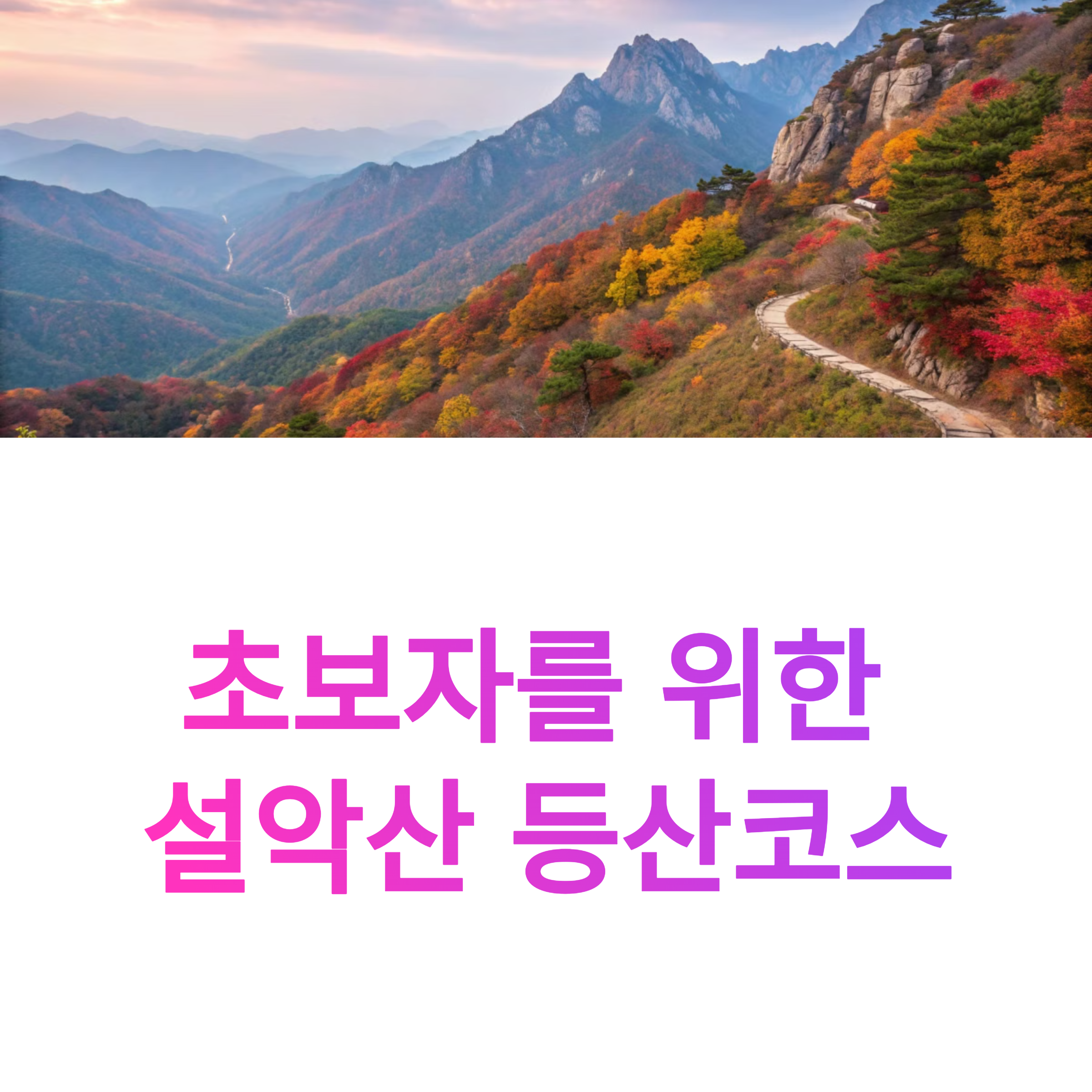 d0f841e6d9c7edb951de7f3c2ffd1ce1.png